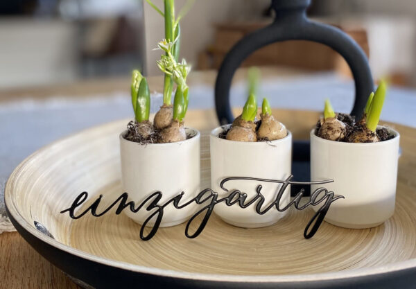 einzigartig – Bild 5
